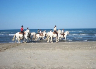 Pbaños a caballo en la Camarga con Cap Rando 